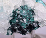 5cms GEM CLINOATACAMITE CRYSTAL MALACHITE LILY MINE 2000 DISCOVERY PERU AB159