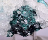 5cms GEM CLINOATACAMITE CRYSTAL MALACHITE LILY MINE 2000 DISCOVERY PERU AB159