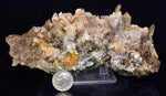 14cms CALCITE TOOTH DOG WITH QUARTZ CRYSTALS PERU SHINY MINERAL SPECIMEN GB47