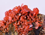 4.2cm VANADINITE HOLLANDITE CRYSTAL MIBLADEN MOROCCO  MINERAL SPECIMEN WB32