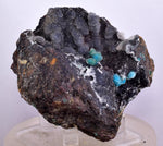 6.8cms DRUZY CHRYSOCOLLA QUARTZ CHILE INCA DE ORO MINERAL SPECIMEN DB93