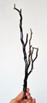 40cms GOLDEN BLACK CORAL POLISHED PERU NATURAL BRANCH SEA GENUINE VB05