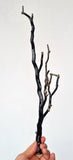 40cms GOLDEN BLACK CORAL POLISHED PERU NATURAL BRANCH SEA GENUINE VB05