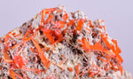 3.1cms GEM RED CROCOITE CRYSTALS CLUSTER MATRIX ADELAIDE MINE AUSTRALIA ZB35