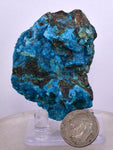 5.2cms QUARTZ CHRYSOCOLLA BOTRYOIDAL TENTADORA MINE PERU MINERAL SPECIMEN CB117