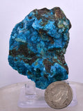 5.2cms QUARTZ CHRYSOCOLLA BOTRYOIDAL TENTADORA MINE PERU MINERAL SPECIMEN CB117