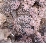 12cms BARITE DOLOMITE RHODOCHROSITE CRYSTALS PERU SHINY MINERAL SPCIMEN EB50