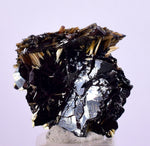 1.6cms GOLDEN RUTILE HEMATITE SPRAY NEEDLES CRYSTALS TITANIUM BAHIA BRAZIL  XB09