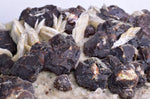 20 cms SPHALERITE BARITE QUARTZ GEM PERU CRYSTALS DISPLAY OR TO CUT IT MB106