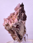 8cms COBALTOAN CALCITE SHINY CRYSTAL MOROCCO MINERAL SPECIMEN GB64