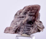 2.9cm GEM AXINITE CRYSTAL  PERU SUPER SHINY MINERAL SPECIMEN AB100