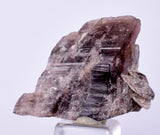 2.9cm GEM AXINITE CRYSTAL  PERU SUPER SHINY MINERAL SPECIMEN AB100