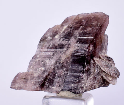 2.9cm GEM AXINITE CRYSTAL  PERU SUPER SHINY MINERAL SPECIMEN AB100