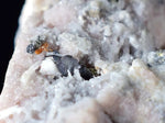 7.5cms PROUSTITE RED RUBY SILVER MINERAL PERU UCHUCCHACUA MINE SPECIMEN H313