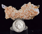 5cms LIMONITE IN SELENITE CRYSTAL COLLECTOR PERU MINERAL SPECIMEN TB81
