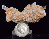 5cms LIMONITE IN SELENITE CRYSTAL COLLECTOR PERU MINERAL SPECIMEN TB81