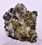 4.1cms APATITE QUARTZ PYRITE CRYSTALS PERU HUANZALA AB246