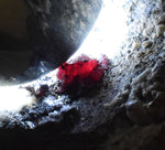6.9cms PROUSTITE RED RUBY SILVER PERU UCHUCCHACUA MINE MINERAL SPECIMEN HB147