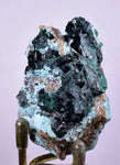 5.6cms ATACAMITE DRUZY MALCHITE CHRYSOCOLLA LILY MINE PERU MINERAL AB88