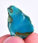 16.5cts GEM SILICA CHRYSOCOLLA CHALCEDONY LILY MINE PERU ROUGH SB175