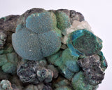 7.9cms DRUZY CHRYSOCOLLA QUARTZ MALACHITE BOTRYOIDAL PERU MINERAL SPECIMEN DB84