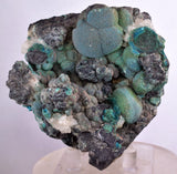 7.9cms DRUZY CHRYSOCOLLA QUARTZ MALACHITE BOTRYOIDAL PERU MINERAL SPECIMEN DB84
