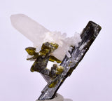 3cms PREMIUM EPIDOTE QUARTZ MINIATURE CRYSTALS PERU AESTHETIC COLLECTOR CB132