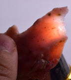 16.7 grams GEM PINK OPAL PERU ROUGH CORAL COLOR TRANSLUCENT MINERAL PB38