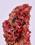 5.8cm VANADINITE HOLLANDITE CRYSTAL MIBLADEN MOROCCO  MINERAL SPECIMEN WB24