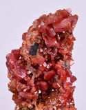 5.8cm VANADINITE HOLLANDITE CRYSTAL MIBLADEN MOROCCO  MINERAL SPECIMEN WB24