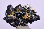 2.5cms GOLDEN RUTILE HEMATITE SPRAY NEEDLES CRYSTALS TITANIUM BAHIA BRAZIL  XB19