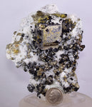10.5cms GEM PYRITE APATITE SCHEELITE (?) SPHALERITE QUARTZ PERU CRYSTALS MB129
