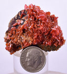 4.2cm VANADINITE HOLLANDITE CRYSTAL MIBLADEN MOROCCO  MINERAL SPECIMEN WB32