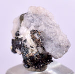 1.6cms NATIVE SILVER WIRE PERU ACANTHITE UCHUCCHACUA MINE MINERAL SPECIMEN HB196