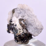 1.6cms NATIVE SILVER WIRE PERU ACANTHITE UCHUCCHACUA MINE MINERAL SPECIMEN HB196