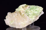 7.5cms AUGELITE CRYSTAL PERU DARK GREEN BRIGHT NEEDLE QUARTZ PASTO BUENO AB233