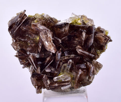 2.7cms PREMIUM AXINITE QUARTZ CRYSTALS PERU AESTHETIC COLLECTOR AB199