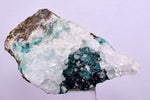 5cms GEM CLINOATACAMITE CRYSTAL MALACHITE LILY MINE 2000 DISCOVERY PERU AB159