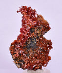 5.8cm VANADINITE HOLLANDITE CRYSTAL MIBLADEN MOROCCO  MINERAL SPECIMEN WB24