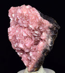 4.3cms RHODOCHROSITE CRYSTAL  N'CHWANING II MINE SOUTH AFRICA  RB652