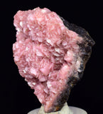 4.3cms RHODOCHROSITE CRYSTAL  N'CHWANING II MINE SOUTH AFRICA  RB652