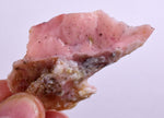 16.7 grams GEM PINK OPAL PERU ROUGH CORAL COLOR TRANSLUCENT MINERAL PB38