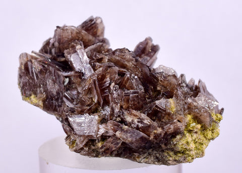 3.5cms PREMIUM AXINITE  QUARTZ CRYSTALS PERU AESTHETIC COLLECTOR AB196