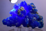 7.6cms NEW BLUE CHALCANTHITE NATURAL BOTRYOIDAL CRYSTALS PERU TRANSLUCENT FB30