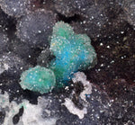 6.8cms DRUZY CHRYSOCOLLA QUARTZ CHILE INCA DE ORO MINERAL SPECIMEN DB93