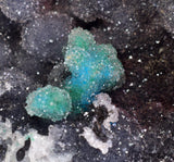 6.8cms DRUZY CHRYSOCOLLA QUARTZ CHILE INCA DE ORO MINERAL SPECIMEN DB93