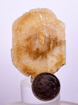4.5 cms DESERT ROSE SELENITE CRYSTAL PERU GOLDEN SUISEKI TRANSLUCENT TB36