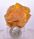 4.5cms GEM YELLOW FLUORITE SHINY CRYSTAL AHOULI MOROCCO MINERAL SPECIMEN KB45
