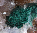 9.8cms DRUZY CHRYSOCOLLA MALACHITE QUARTZ LILY MINE PERU COPPER MINERAL DB54