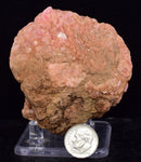 6.8cms GEM RHODOCHROSITE CUBIC CRYSTALS GOETHITE PERU MINERAL SPECIMEN RB664